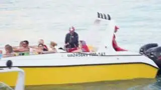 Катер в Ялте 750 КОНЕЙ !!!