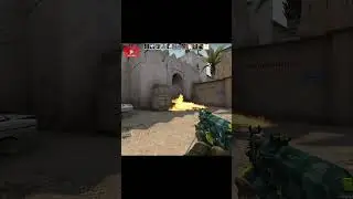 CS:GO | Ох уж этот взгляд...) | 