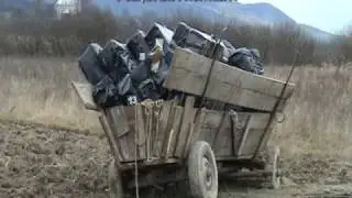 Trafic tigari - Satu Mare.mpg