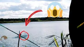 КАРАСЬ РВЕТ ЛЕСКУ//ЛОВЛЯ КАРАСЯ В СЕНТЯБРЕ-ОКТЯБРЕ   😲