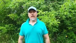 #SOS КАЛТАН во власти бандитов