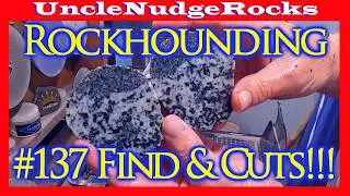 Rockhounding Washington State #137 Find & Cuts!!! From #124 Winter Hound, Jasper, Lapidary, UNR