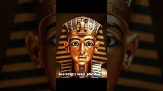 Tutankhamun The Rebirth of a Pharaoh and the Treasure of His Tomb