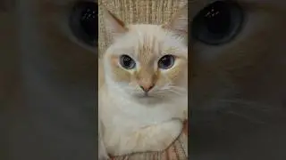 3-е сентября..
