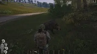 WHEN YOU HUNT IN SCUM