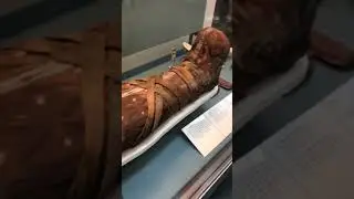 Cleopatra mummy? 😱