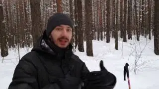 С Новым Годом 2017 от Александра Горенюка