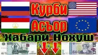 Курби  руси дар Точикистон 08.07.2023 Курби асъор имруз курси имруза