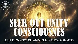 213. Ascension Messages - Seek Out Unity Consciousness