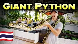 Bangkok Snake Farm Tour - Giant Burmese Python vs Farang! 🇹🇭