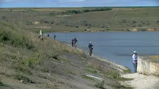 Ловись, рыбка!