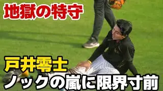 【地獄の特守】セカンド練習の戸井零士が藤本・田中コーチから身振り手振りの熱血指導！足腰限界寸前も無事完走で観客から拍手【阪神秋季キャンプ】