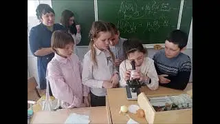 Точка роста