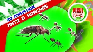 Green Screen Ants and Roaches 3D Animation PixelBoomCG