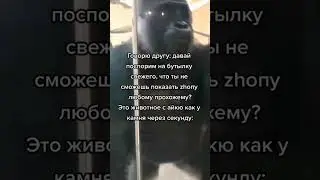 Знаешь,кому отправить 😏 