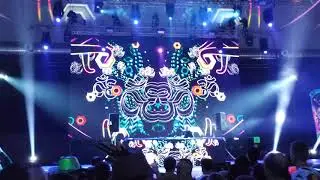 Entheogenic на фестивале Зимняя Сказка 2019