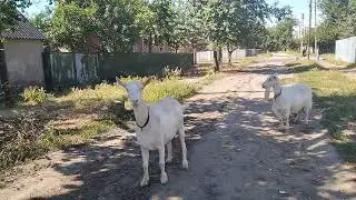 А  у кого спросить нужную информацию ?