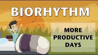 Biorhythm for more productive days