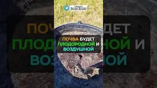 Всего ложка этого средства и земля как пух 
