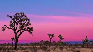 Top 5 Landscape Photography Locations in California!
