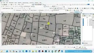 How to Georeference a Khasra / Cadastal Map in Arcgis And Export Raster .kml / .kmz File