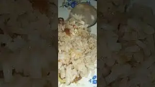 rice, beans my favourite