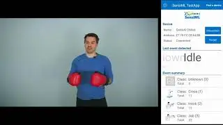 SensiML + TensorFlow Lite Tutorial: Boxing Gesture Recognition Running on the Device