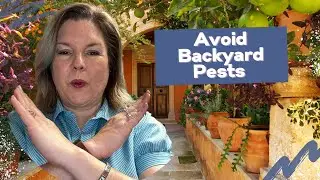 3 Tips to enjoy your backyard without those pesky bugs