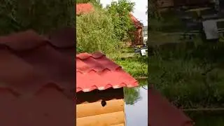 Простите, за тряску!!!!
