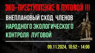 07-09.11.2024 года - Фиксация незаконного сброса мусора в Научном городке (Луговая)