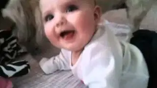 Wren giggling