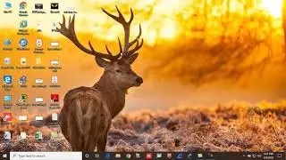 Missing-WMvcore.dll-File in Windows 10