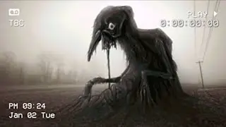 зачем мы их видим... я рисую