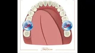 Kur'an-ı Kerimde Yapılışı bakımından vakıflar (Durma çeşitleri)