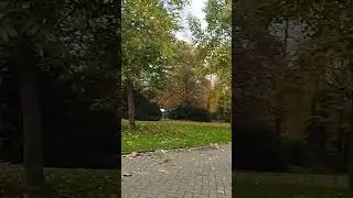 Bürgerpark