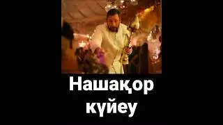 Нашақор күйеу