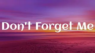 Beharie - Judy Blank - Don't Forget Me (Lyrics)