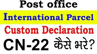How to fill customs declaration form | Custom declaration form cn22  India Post | International post