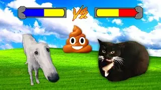 Maxwell Cat Vs Didn't i do it for you || Maxwell Cat vs Borzoi Dog