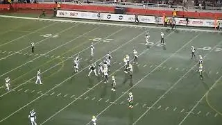 Montreal Alouettes QB Cody Fajardo throws a 30-yard pass to Walter Fletcher vs. Edmonton Elks 8/25