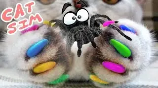 В  подземелье с котом в игре для детей кэт сим