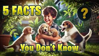 5 surprising dog facts you probably didn't know