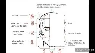 el cánon de la cabeza