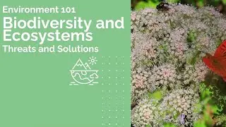 Biodiversity and Ecosystems - Threats and Solutions  | Environment 101 | CSEN