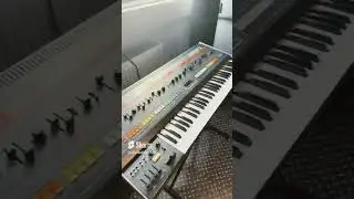 Watch my mate Jimmie multisample Pete Townshend's Jupiter 8 on his Akai MPC1