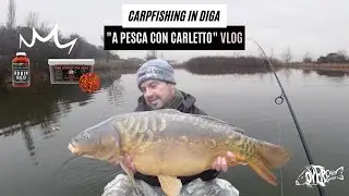 Carpfishing in diga | A pesca con Carletto | CARPFISHING VLOG