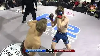 Eurit v Gattie CC55