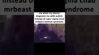 Super Sigma Chad Mr Beast Batman Syndrome Diagnosis