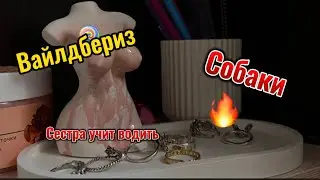 ПОКУПКИ ВБ/СОБАКИ/СЕСТРА УЧИТ ВОДИЬЬ