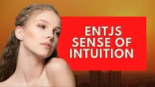 How to Understand the ENTJs Sense of Intuition|Personality Types